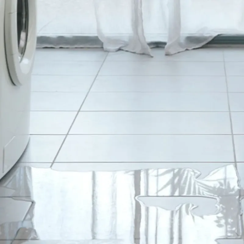 Appliance Leak Cleanup in Friendship, ME