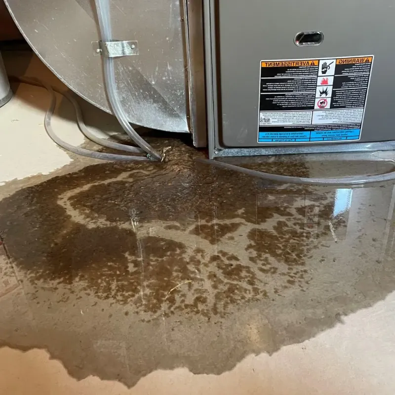 Pipe Burst and Leak Restoration in Friendship, ME